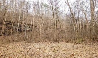 County Road 19-A, Alton, MO 65606