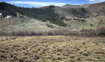 409 Tolman Rd, Clark, WY 82435