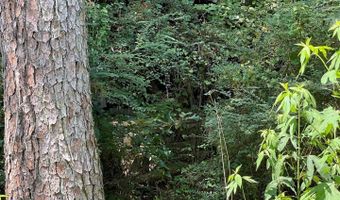 3449 HONEYCUTT Rd Lot 123, Adamsville, AL 35005