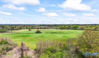 435 Sneadview Rd, Altoona, AL 35952
