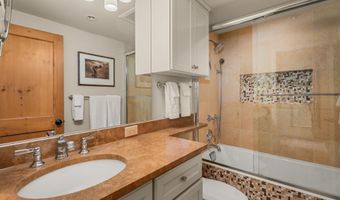 825 E Hopkins Ave 2S, Aspen, CO 81611