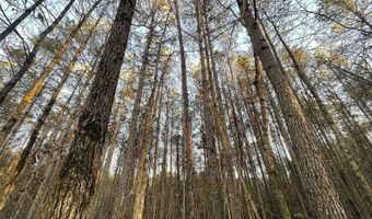 0 CR 437, Ashland, MS 38603