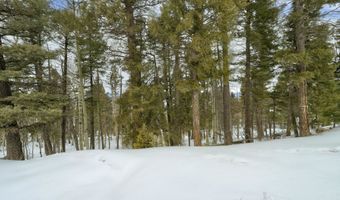 Rainbow Overlook Lot 1229RE Amended A, Angel Fire, NM 87710
