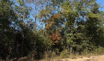 Southern Boulevard lot 27, Alford, FL 32420