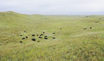 755 90 +/- Acres, Arnold, NE 69120