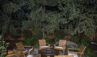 1263 Bunny Ct 1, Aspen, CO 81611