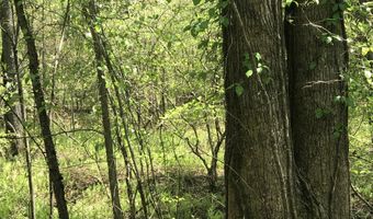 Damascus Road, Ball Ground, GA 30107