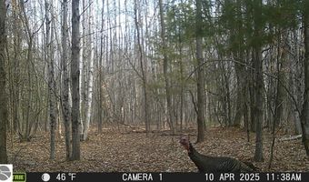 80 X Henry St, Alger, MI 48610