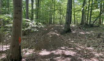 002 Maxey Rd, Arcadia, MI 49613