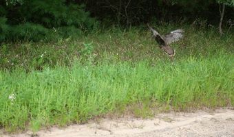 Lot 27 10th Avenue, Adams, WI 53910