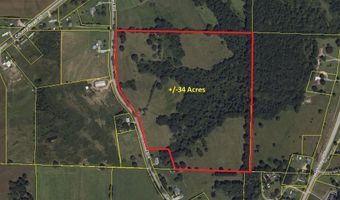 17 Acres County Road 656, Anderson, AL 35610