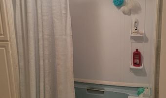 6249 Wolverine Trl, Alger, MI 48610