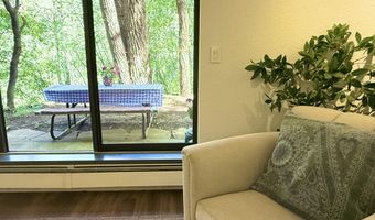 1214 Vine St 1214, Aspen, CO 81611