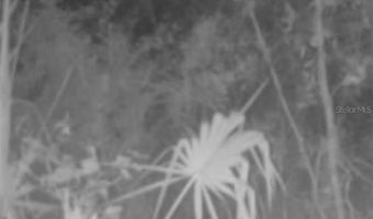 4814 NW 244 Ave, Alachua, FL 32615