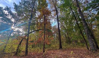 Goodwin Cove lot 29, Ash Flat, AR 72513