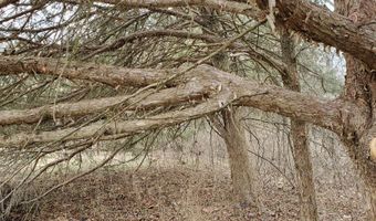 4775 S 50th Rd, Aldrich, MO 65601