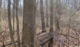 4005 Cr-2, Angelica, NY 14709