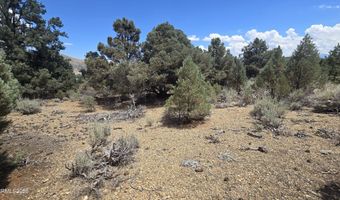 1548 Moss Cir, Gardnerville, NV 89410