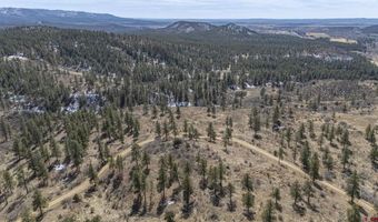TBD Lot 4 Beaver Creek Ranch Drive, Bayfield, CO 81122