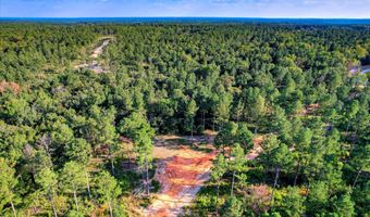 575 Rabbit Pen Dr, Appling, GA 30802