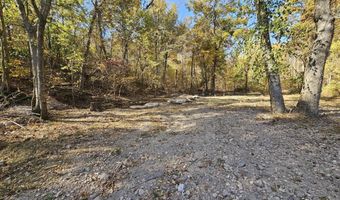 Tract 3 Coble Lane, Anderson, MO 64831