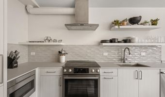 220 W Main Street Unit 210/P1/B6 210/P1/B6, Aspen, CO 81611