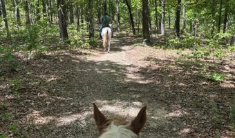 County Road 529, Ava, MO 65608