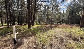 TBD Lot 2 and 3 Timber Haven, Cascade, ID 83611