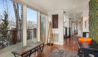 153 Herron Hollow Dr, Aspen, CO 81611