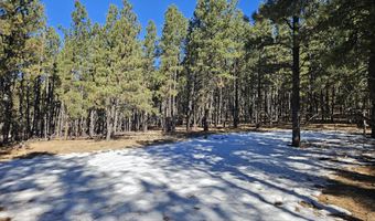 Lot 19 Buckskin Rd, Angel Fire, NM 87710