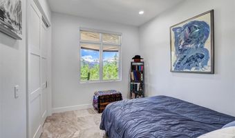 1453 PONDEROSA Rd, Alma, CO 80420
