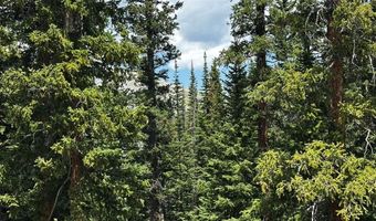 584 Camron Ln Lot 6, Breckenridge, CO 80424