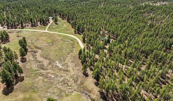 841 Beaver Creek Dr, Bayfield, CO 81122