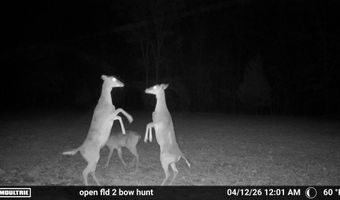 Co Rd 321 Route 5, Ava, MO 65608
