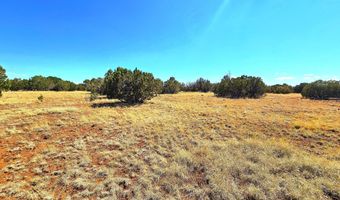 20 CO Rd, Concho, AZ 85924