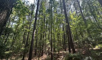 Ridge Road lot 1-E, Appling, GA 30802