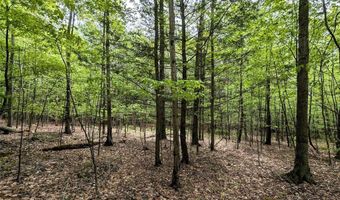 Stewart Road, Addison, NY 14801