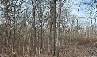 33 Ac Lot A Countryside Dr, Blackstock, SC 29014