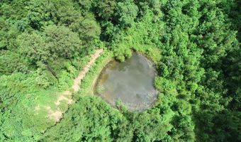 800 Pond Lick Rd, Annville, KY 40402