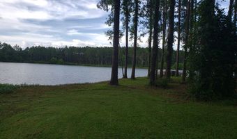 501 Southern Lakes Dr, Arabi, GA 31712