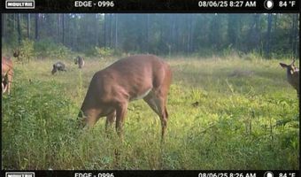 Hwy 9, Bruce, MS 38915