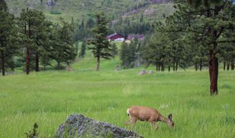14884 Rist Canyon Rd, Bellvue, CO 80512