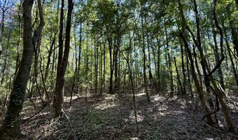 Tbd Williams, Brookhaven, MS 39601