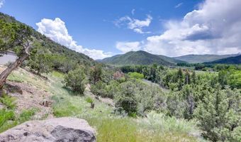 21249 Two Rivers Rd, Basalt, CO 81621