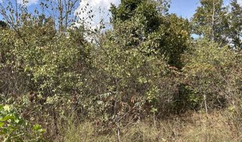 Hc 73 Box 4925 Track 20, Ava, MO 65608