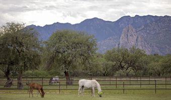 3155 W Elephant Head Rd, Amado, AZ 85645
