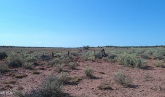 Tbd Wicked Sisters Way 38ac, Concho, AZ 85924