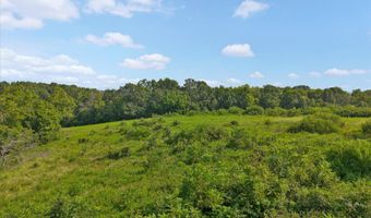 1274 E Dade 14, Aldrich, MO 65601