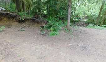 10286 RIDGE VIEW Ter, Birkenfeld, OR 97016
