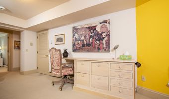 715 W Smuggler St, Aspen, CO 81611